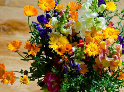 Утренние отметки градусников в +14 одели камышан в пиджаки