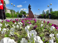 Два дома на улице Некрасова в Камышине запланировали для отключений энергетики завтра, 20 июня