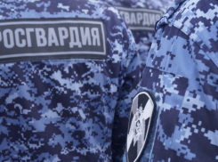В Камышине росгвардейцы задержали «молодца», вытащившего деньги из кошелька женщины