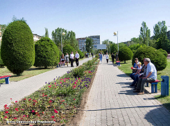 В понедельник 24 июля в Камышине отключат свет в домах на перекрестке Ленина - Некрасова, и не только