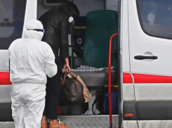 В соседней  с Волгоградской Саратовской области, где  число заразившихся COVID-19 достигло 114 человек, вводится пропускной режим