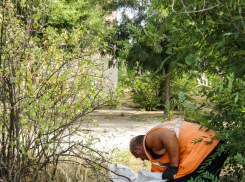 «Оранжевые жилеты» собирают неподъемными мешками мусор с «задворок» парка Текстильщиков в Камышине