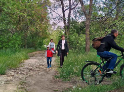 Волгоградская область «держится» в плане зараженных коронавирусом, сегодняшний прирост - 86 человек