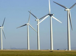 Может ли Камышинский район «энергонасытиться» от ветряков?