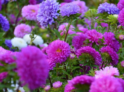 Синоптики усилили свой прогноз о дожде в Камышине грозой