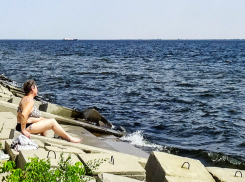 Волгоградскую область накрыла волна фейков о холере в воде  