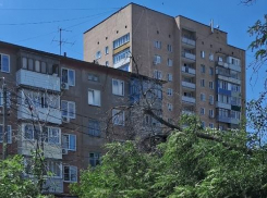 Камышане интересуются, когда «Благоустройство» заберет упавшее дерево из 4-го микрорайона