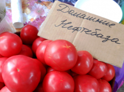 Инфляцию пытаются снизить в Волгоградской области за счет дешевой еды? - «Блокнот Волгограда»