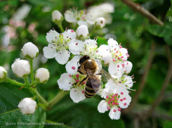 Солнце с брызгами дождя и геомагнитные возмущения - погода в Камышине 17 мая