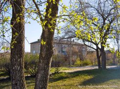 На карте зараженности Камышина и Камышинского района цифры за минувшие сутки не изменились