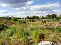 Столичные комитетчики приедут искать проблемы в Волгоградской области, в Камышине тоже - «Блокнот Волгограда»