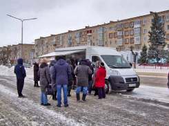 Фермерскую автолавку и по выходным покупатели окружают в очередь в Камышине