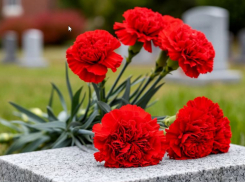 Работавший в Камышине ветеран ФСБ полковник Владимир Колесников скончался в Волгограде 