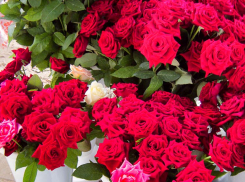 Газета чиновников «Диалог» напрасно разволновалась, что камышане пожадничают денег на первосентябрьские букеты учителям