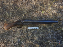 Причиной конфликта с ружьем в Камышинском районе стала не выплаченная селянину зарплата (ВИДЕО) 