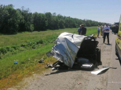 Молодые супруги и их 6-месячный сын-кроха погибли 20 июня в страшной аварии на московской трассе