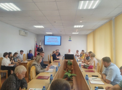 Не пора ли Камышинской городской думе «отправить» местных депутатов... хотя бы на военные сборы?