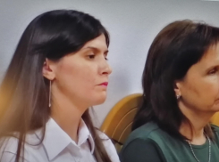 За что прокуратура оштрафовала председателя комитета по управлению имуществом администрации Камышина Ирину Новицкую