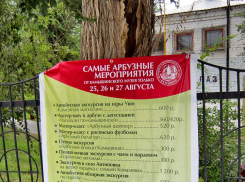 Что же объявления о самом красивом празднике Камышина - Арбузном фестивале разместили у трухлявого дупла? - камышанка