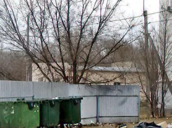 В Камышине подожгли два мусорных контейнера