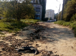 Камышан не устраивает, почему так медленно устраняются последствия ливня