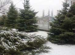 Камышин немного присыпало снегом перед полуночным наступлением морозов 6 января