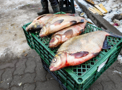 Центральный Банк прокомментировал тенденции в динамике цен на продукты, товары и услуги
