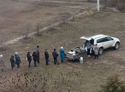 Камышане заспорили, насколько безопасно покупать молоко и творог во дворах