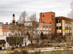 Как решилось в Камышинском городском суде дело о желании работницы предприятия-банкрота выйти на работу из  декретного отпуска досрочно