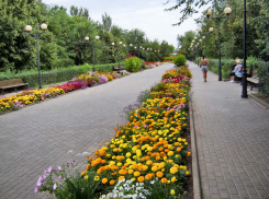 В Камышине три дня голосования за депутатов Камышинской городской думы власти решили разбавить метанием топоров и битвой мешками в парке