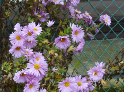 При южном ветре камышан ждет теплая суббота 29 ноября