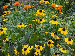 Появились подробности о двух погибших, похороненных с посмертным диагнозом COVID