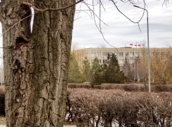 Камышинская Контрольно-счетная палата оценила риски невыполнения администрацией Камышина плана по доходам в 2024 году