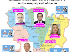 Какие известные камышанам политики пойдут одномандатниками в Госдуму от движения «За Наш Регион»