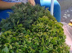 Клубника в Камышине вдвое дешевле, чем черешня