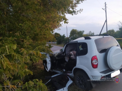 «Нива Шевроле» потеряла ориентиры на ночной дороге и врезалась в дерево: 20-летний парень скончался на месте, двое в больнице
