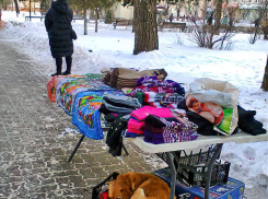 В Камышине у «Победы» продают «сувениры из-под собак»?