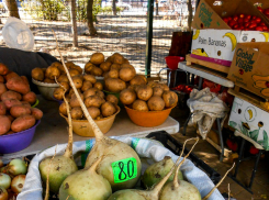 Картошка прибывает в Камышин, она немного подешевела