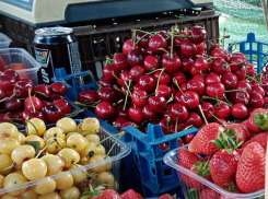 В Камышине черешня на рынках и в сетевиках продается по баснословной цене