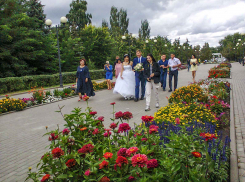 Молодоженам в Волгоградской области предложили выплачивать по 10 тысяч рублей за вступление в брак