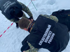 В Следственном управлении СК причиной внезапной смерти упавшего в гололед в Камышинском районе мальчика назвали сердечную недостаточность, а не травму