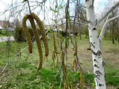 Воскресенье 6 апреля пришло в Камышин дождливым