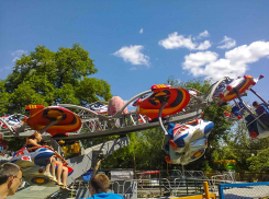 Как в Камышине собираются отпраздновать День семьи, любви и верности