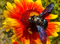 Синоптики обещают камышанам незначительное ослабление жары