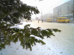 Мороз и гололед стали триггерами взвинчивания цен на такси в Камышине