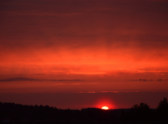 Пока в Камышине правоохранители вели активный поиск бесследно пропавшего мужчины, он... «отдыхал от жены»