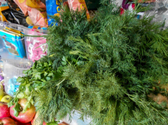 В Камышине укроп, петрушка и лук продаются, как деликатес, по 500 рублей за килограмм