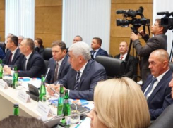 Культуру Волгоградской области возглавила философ, а укреплять государство будет специалист по яйцам, - «Блокнот Волгограда»