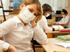 Грипп «разошелся»: карантин в школах Камышина только успевают объявлять и продлевать