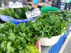 В Камышине рекорды дороговизны бьют зелень и овощи для острых приправ